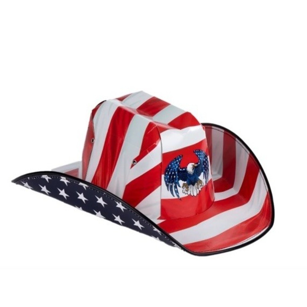 Eagle Stripe Beer Box COWBOY HAT American Flag Carton Novelty Americana New RARE - Picture 2 of 8